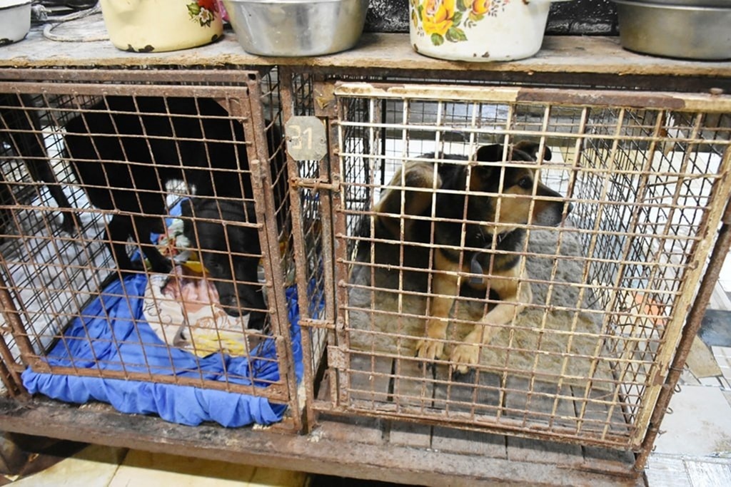 Фото: пресс-служба правительства Калининградской области Алексей Луньков  📷
