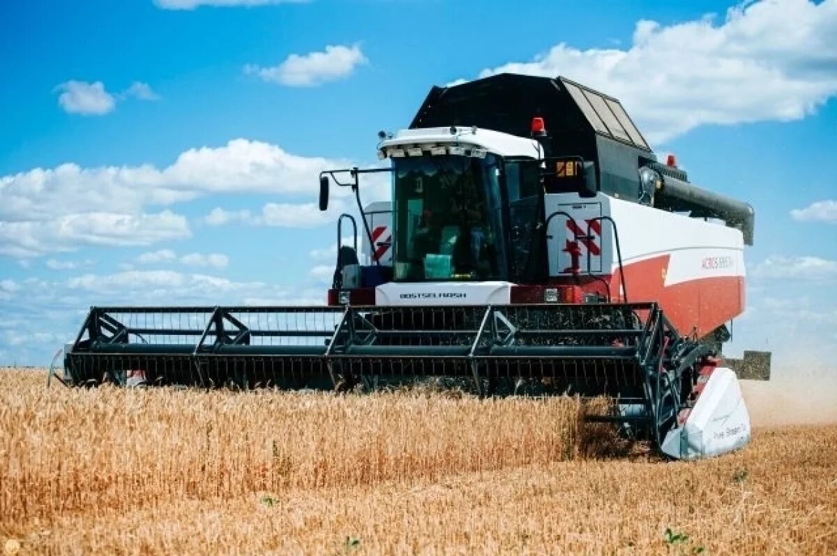    К 2025 году урожайность достигла 36 ц/га — на уровне лучших районов Центральной России.