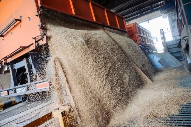    Пшеничные отруби стали ведущим экспортным сырьём. Фото: Минсельхоз Чувашии