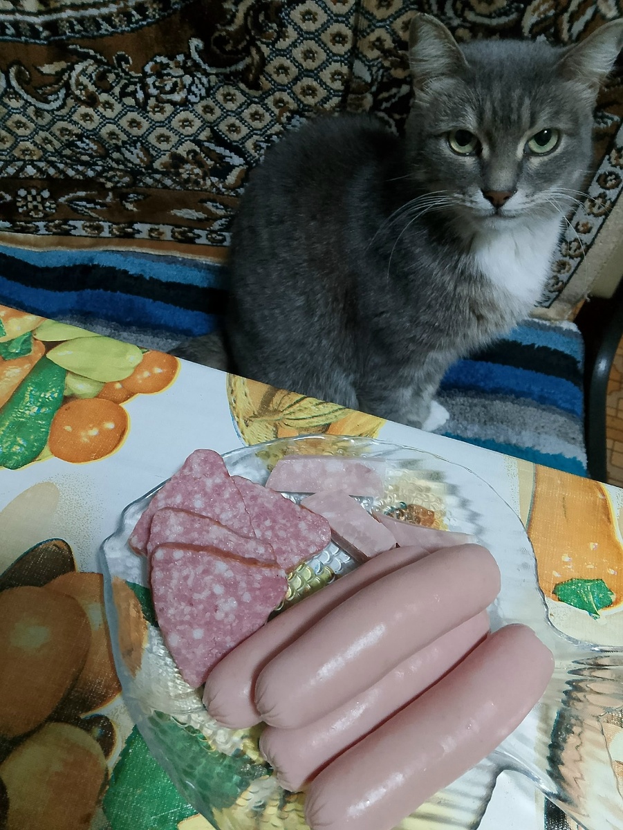 иллюстрация из яндекс картинки.