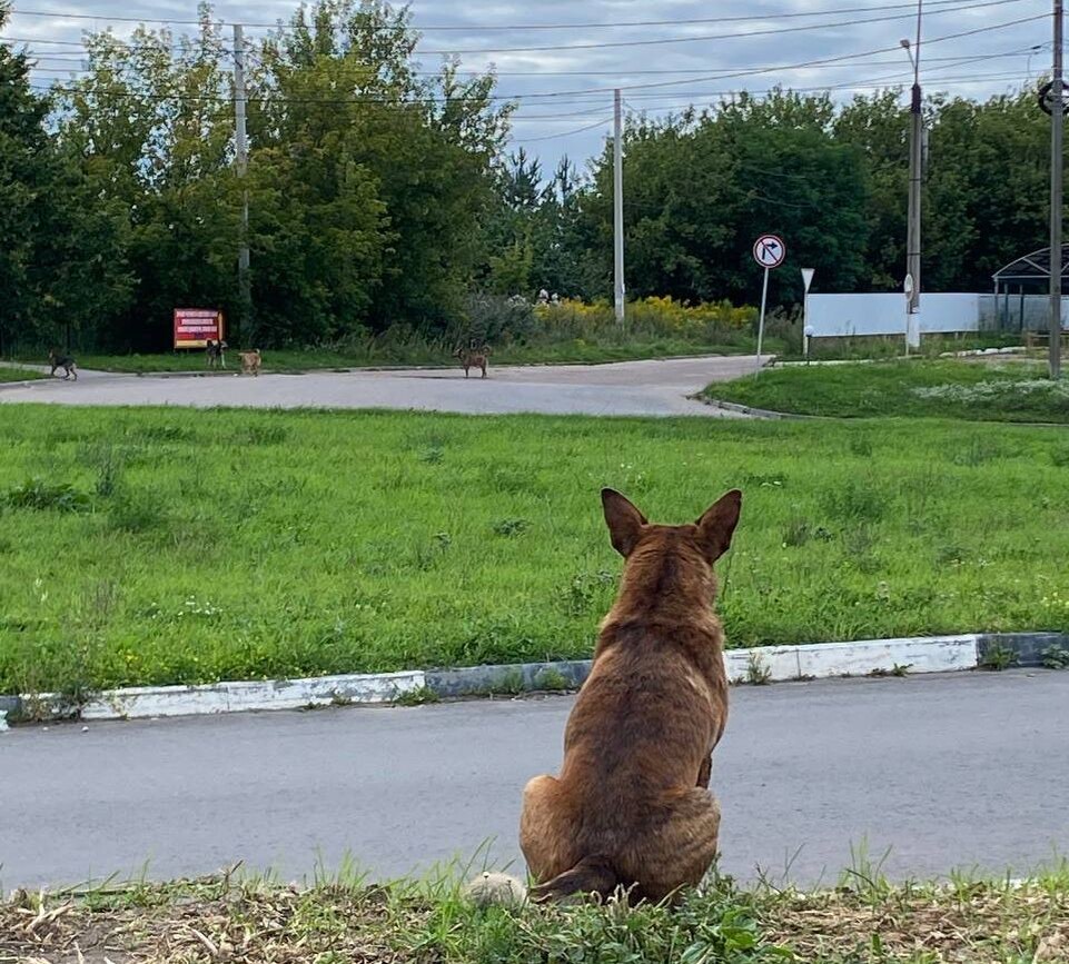    Фото: ИА “Орелград” / Светлана Числова