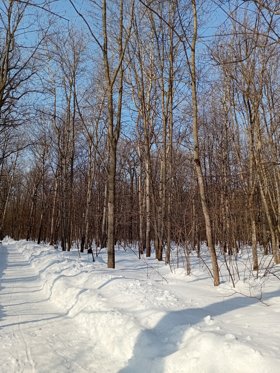 Парк в марте, снега все еще полно