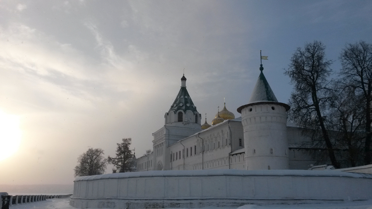 Еще с деревьями в январе 205 года