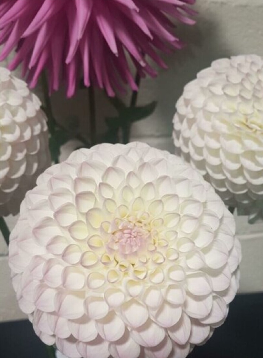 Источник: idaprikol.ru