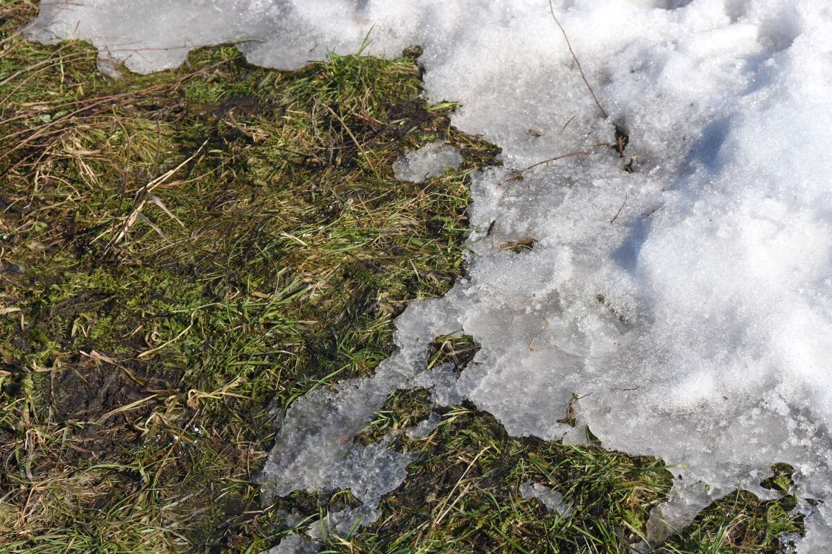    Фото: Игорь Филонов