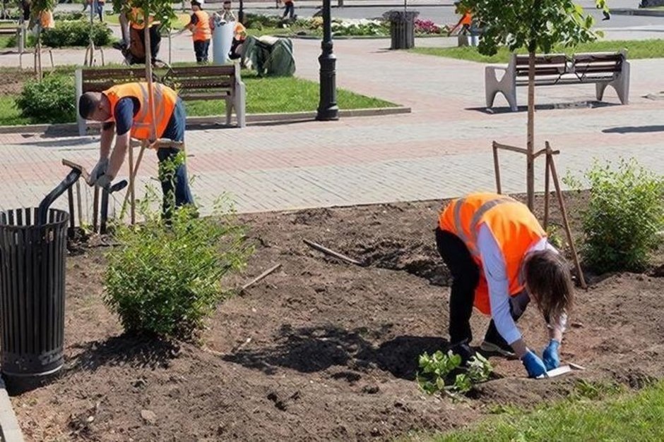   сгенерировано при помощи нейросети «Шедеврум»