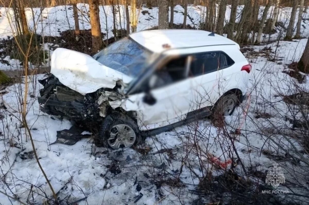    Полиция проводит проверку по факту ДТП под Гатчиной