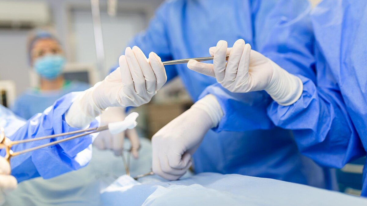    Фото: freepik.com/stefamerpik