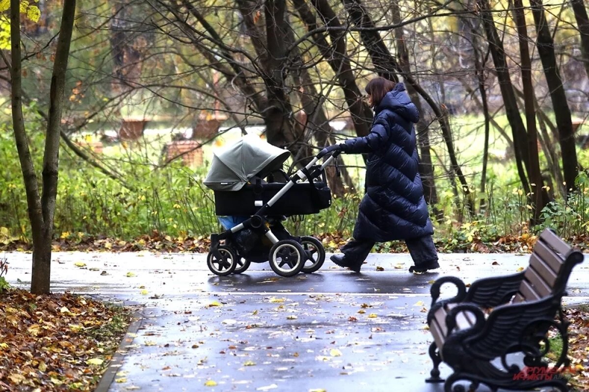    170 парков и скверов будет благоустроено на Кубани по федеральной программе