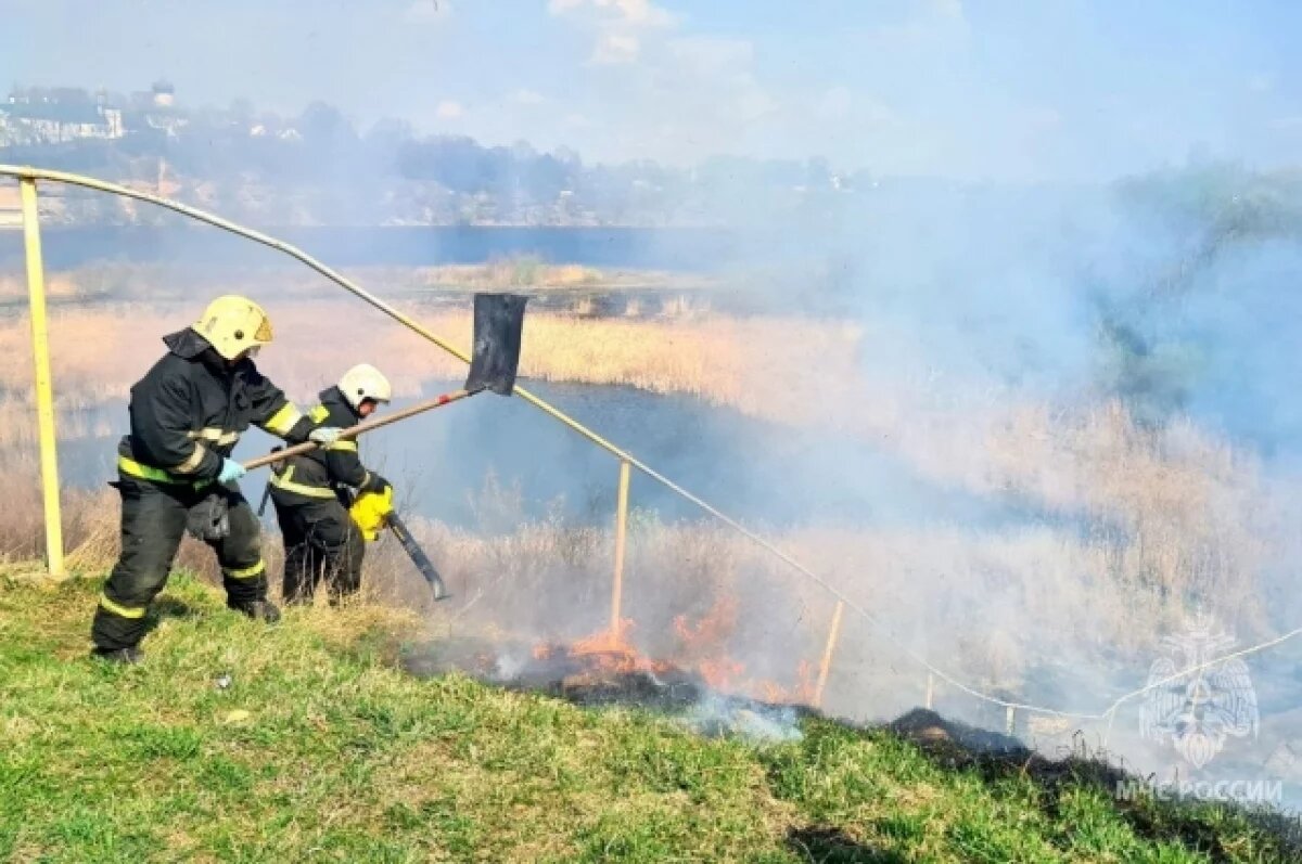   Псковская область готова к половодью и пожароопасному сезону – Ведерников