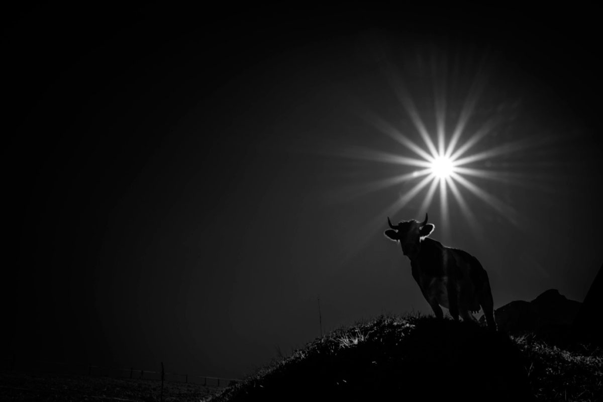 Человек с ограниченным мышлением игнорирует логические доводы и факты, оставаясь при своём мнении, что создаёт безвыходную ситуацию