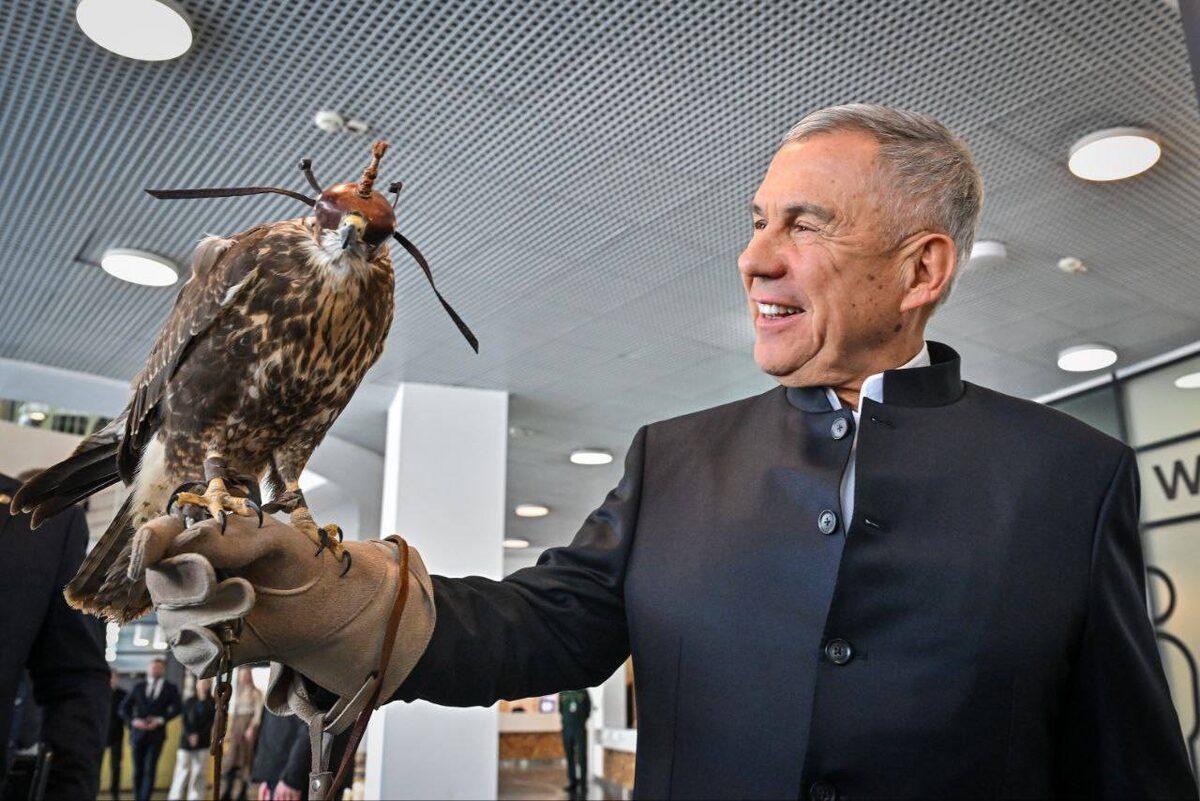 t.me/rustamminnikhanov