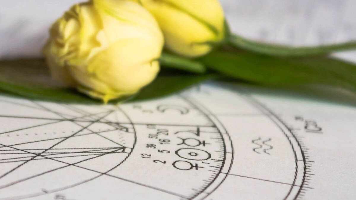    Фото: Bada1 / shutterstock.com / Fotodom