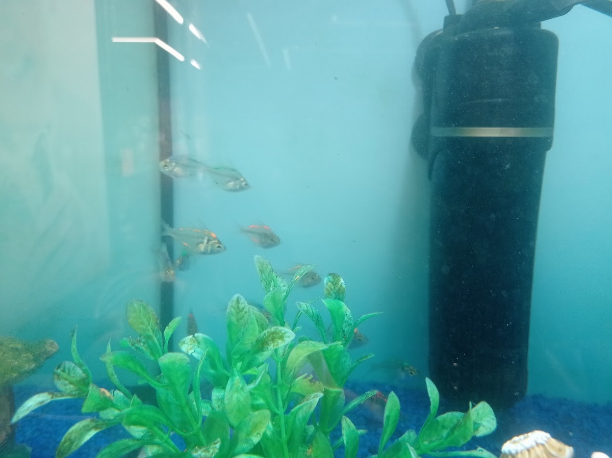 Видно, что они прозрачные?