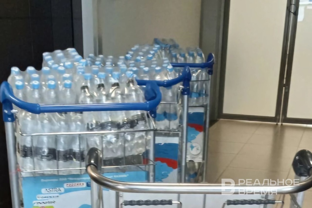   Луиза Игнатьева / realnoevremya.ru