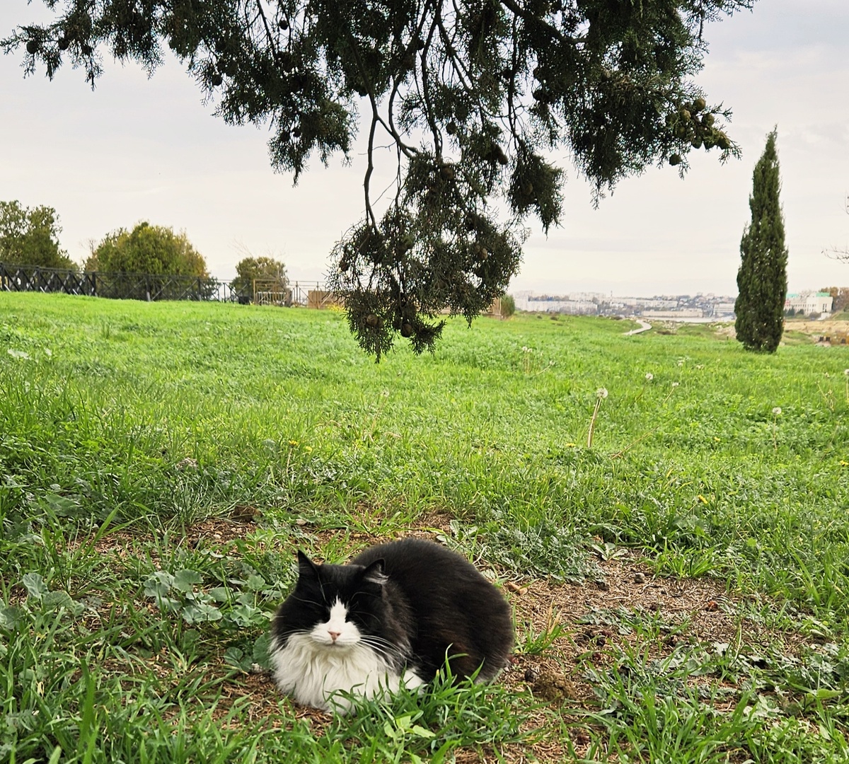 На своем месте тебе должно быть хорошо и спокойно.