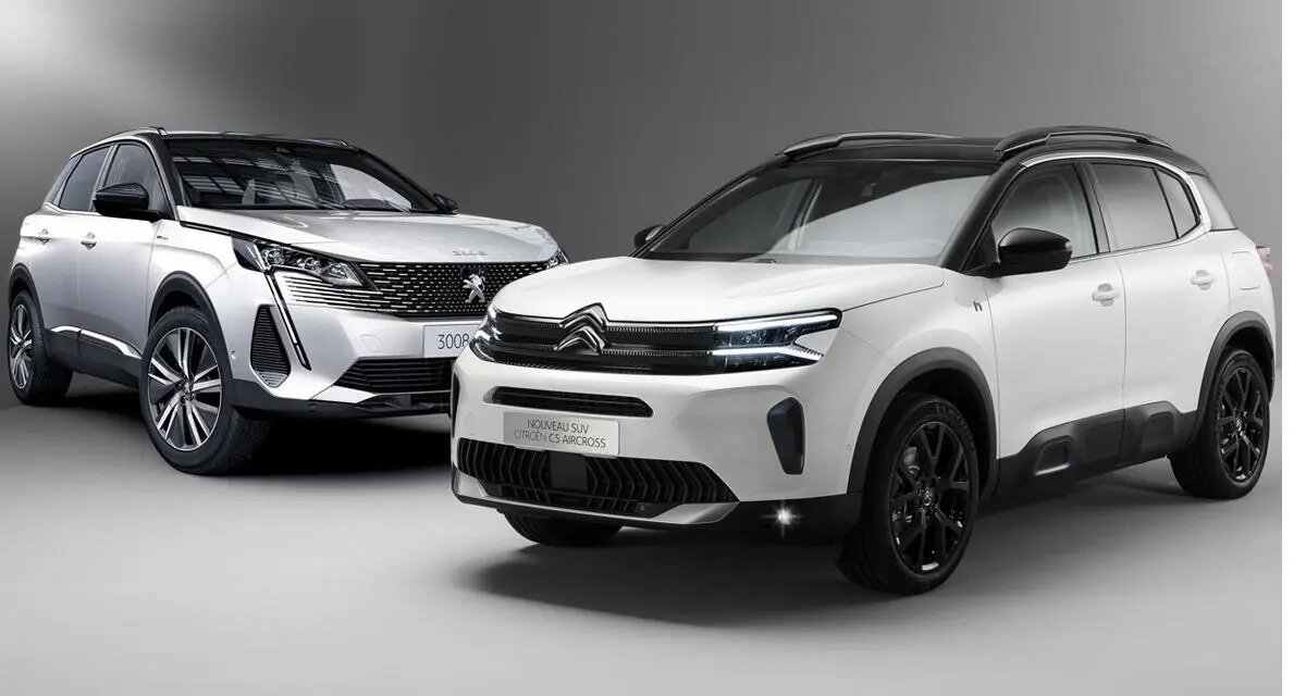 ФРАНЦУЗСКИЙ ШАРМ: ТОНКОСТИ ОБСЛУЖИВАНИЯ