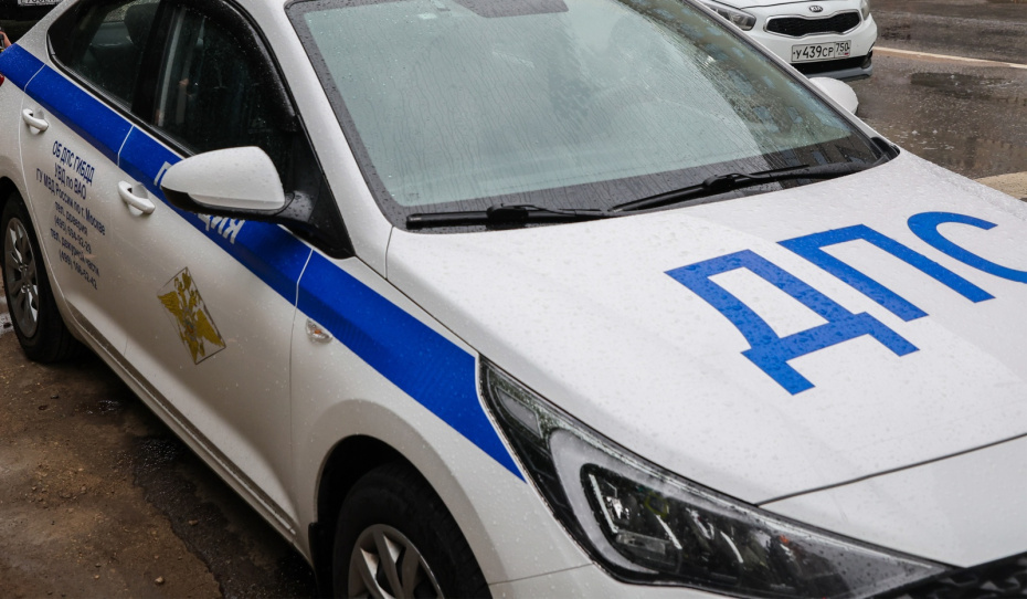    Алексей Белкин/NEWS.ru