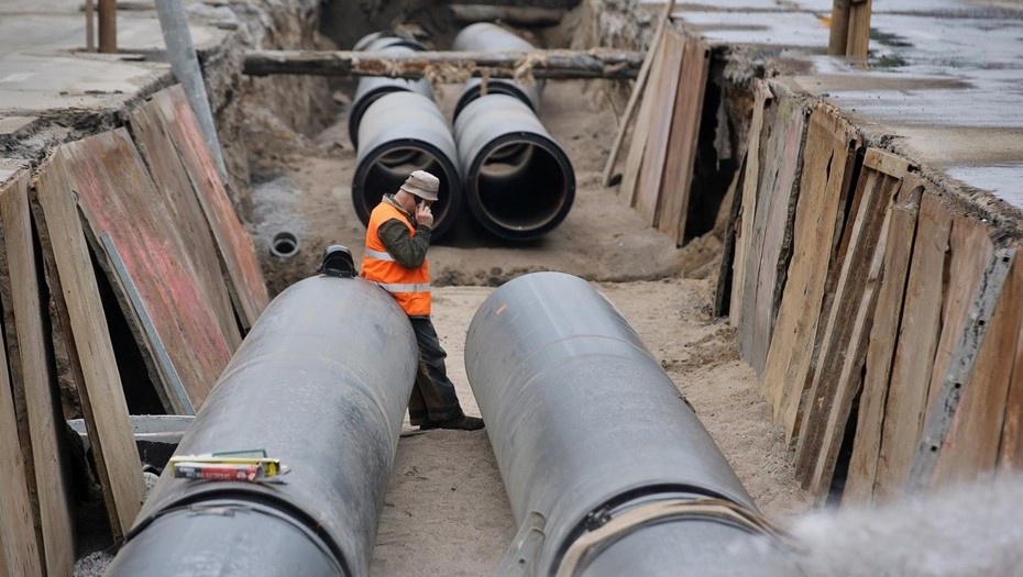    Автор фото: Ковалев Петр