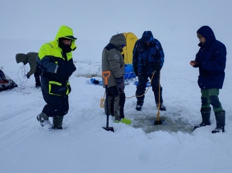     фото: © Алексей Толстиков / КарНЦ РАН