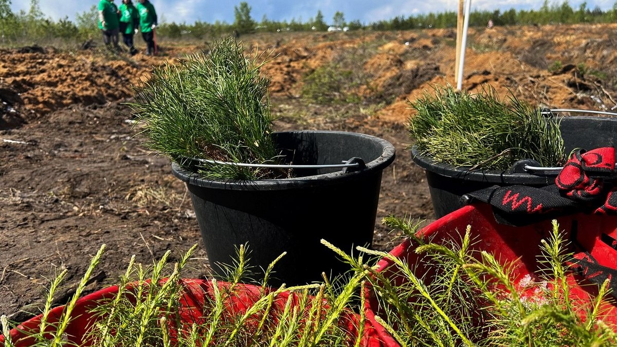 Фото: архив ИД «Пресса»