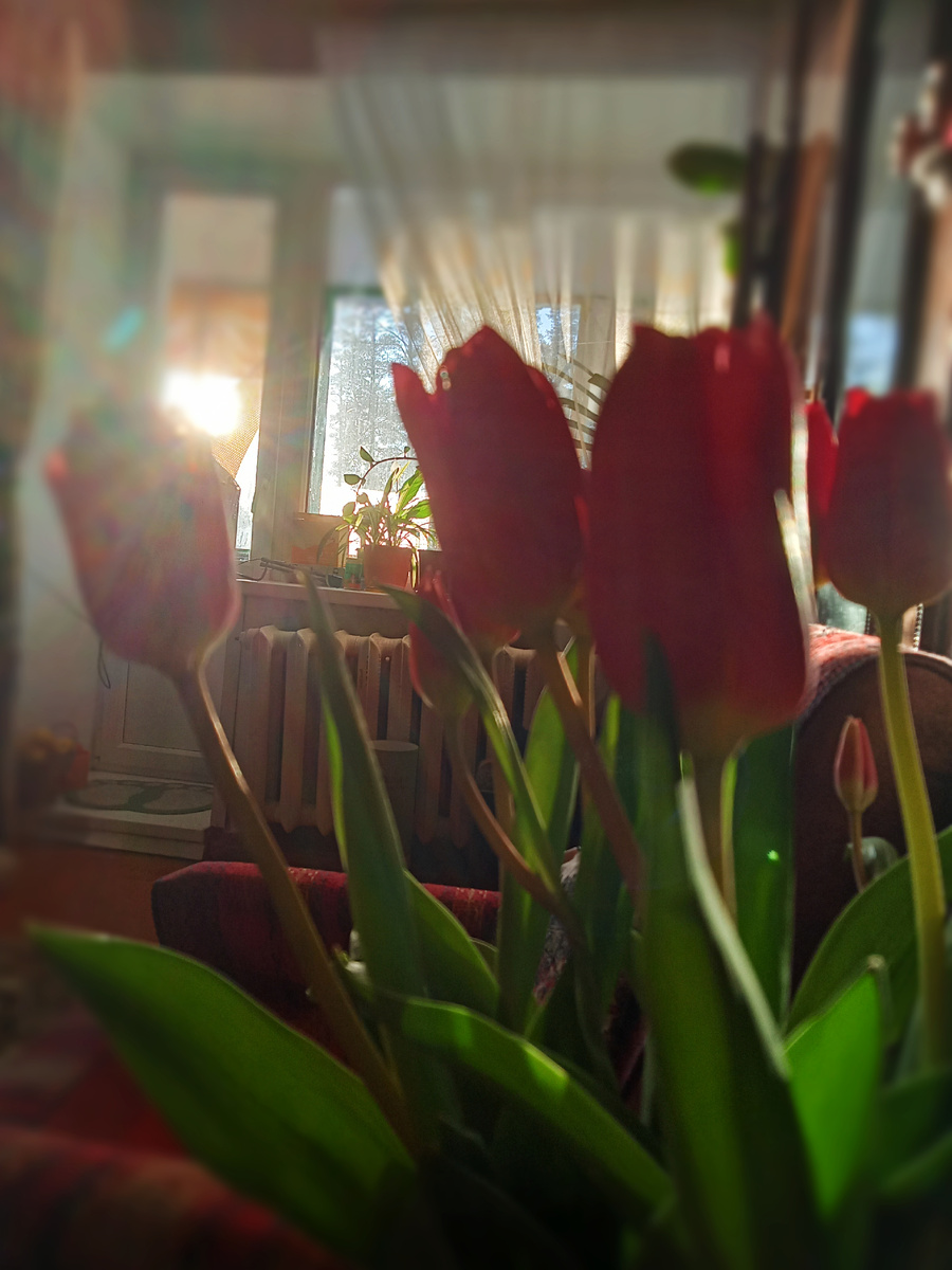 Фото автора 