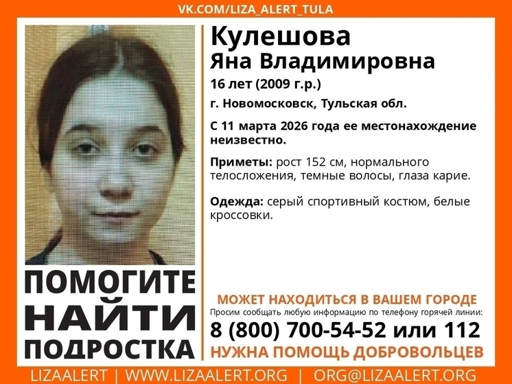     Фото: Поисковый отряд "ЛизаАлерт" Тульской области