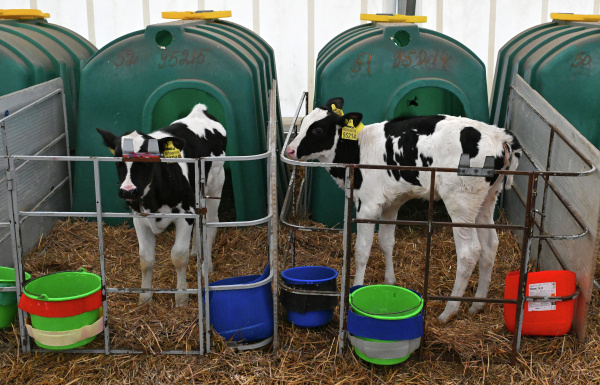 Фото: Илья Наймушин/РИА Новости
