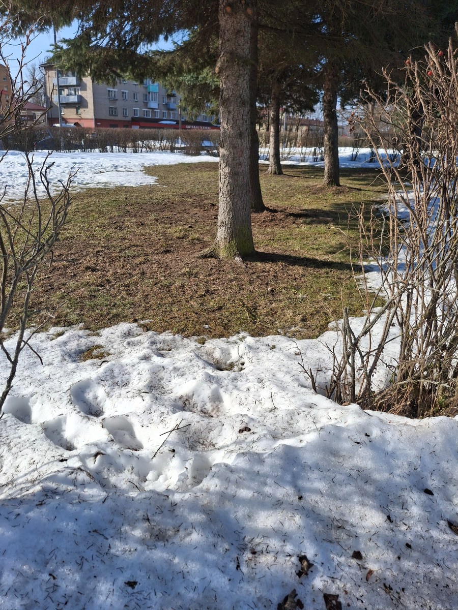 Фото автора канала