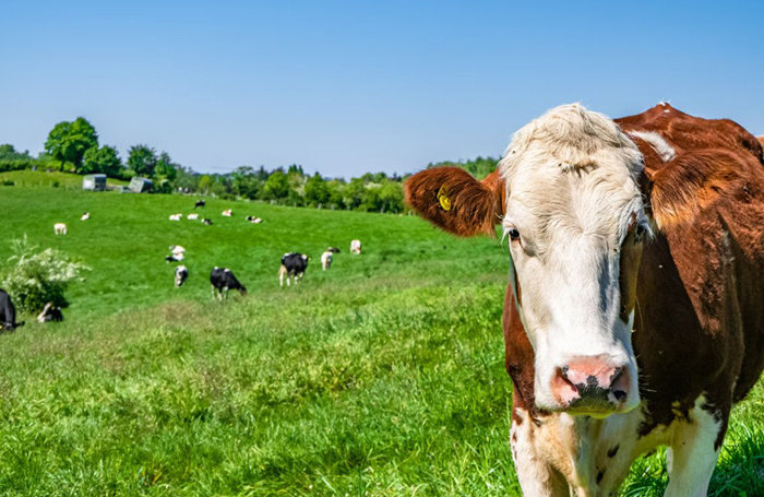    wirestock/freepik.com