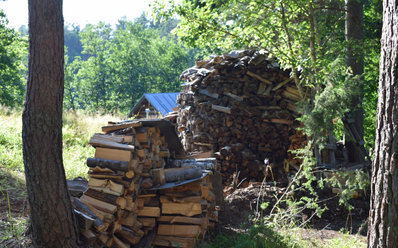    Ксения Сорокина