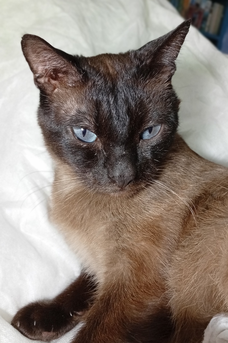 Фото из личного архива