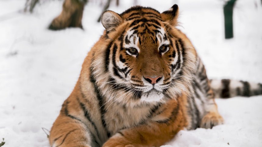    Фото: © РИА Новости/Алексей Даничев