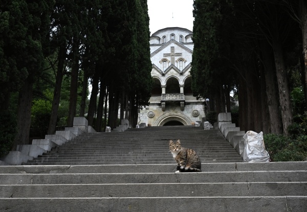 Фото: Константин Михальчевский/РИА Новости
