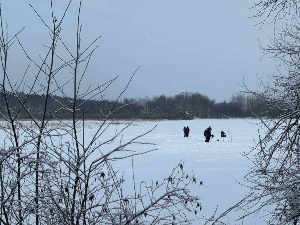    Фото: "ГородКиров.ру"