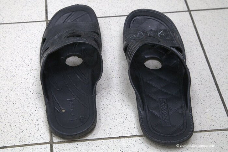 © zhzhitel / Pikabu