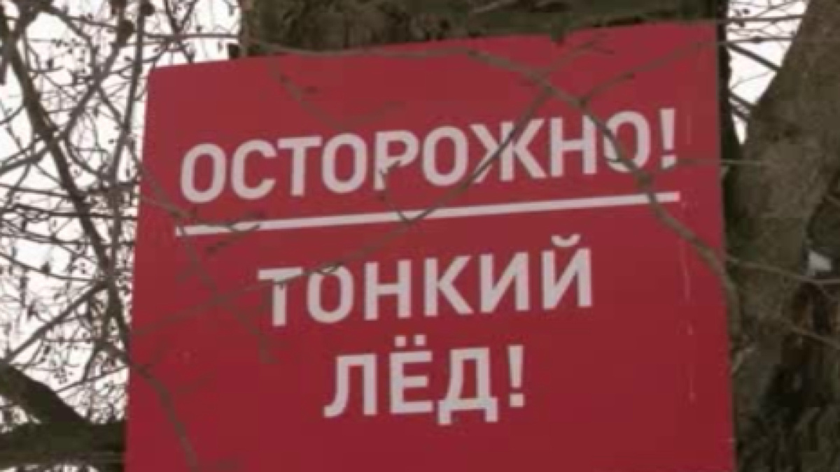    Обзор событий в Курской области за прошедшую неделю от спасательного ведомства