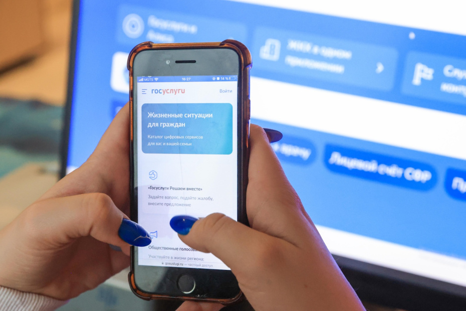    Наталья Шатохина/NEWS.ru