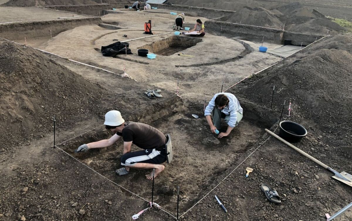 Раскопки могильника Гнездилово, 2022 г.