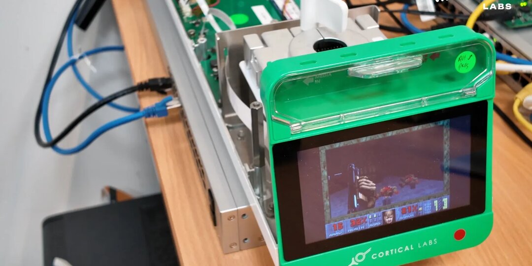 Учёные научили клетки человеческого мозга играть в Doom