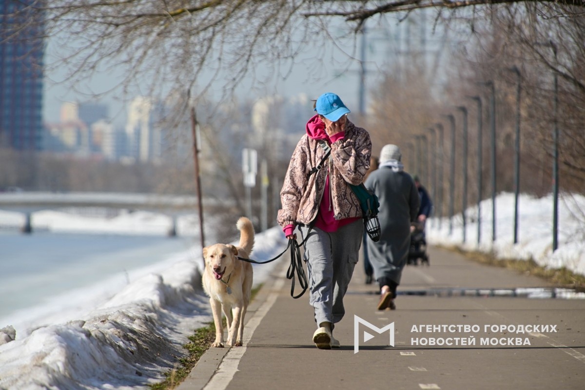 Фотограф: Сергей Киселев