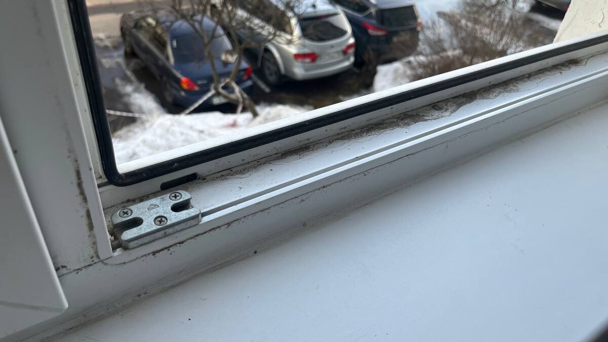 Грязненькие, конечно, поэтому и мою — не хочется, чтобы ребенок дышал этим