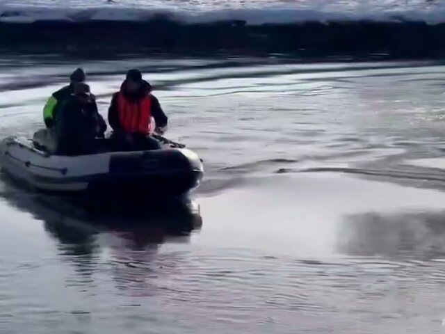    Фото: телеграм-канал "МЧС Московской области"