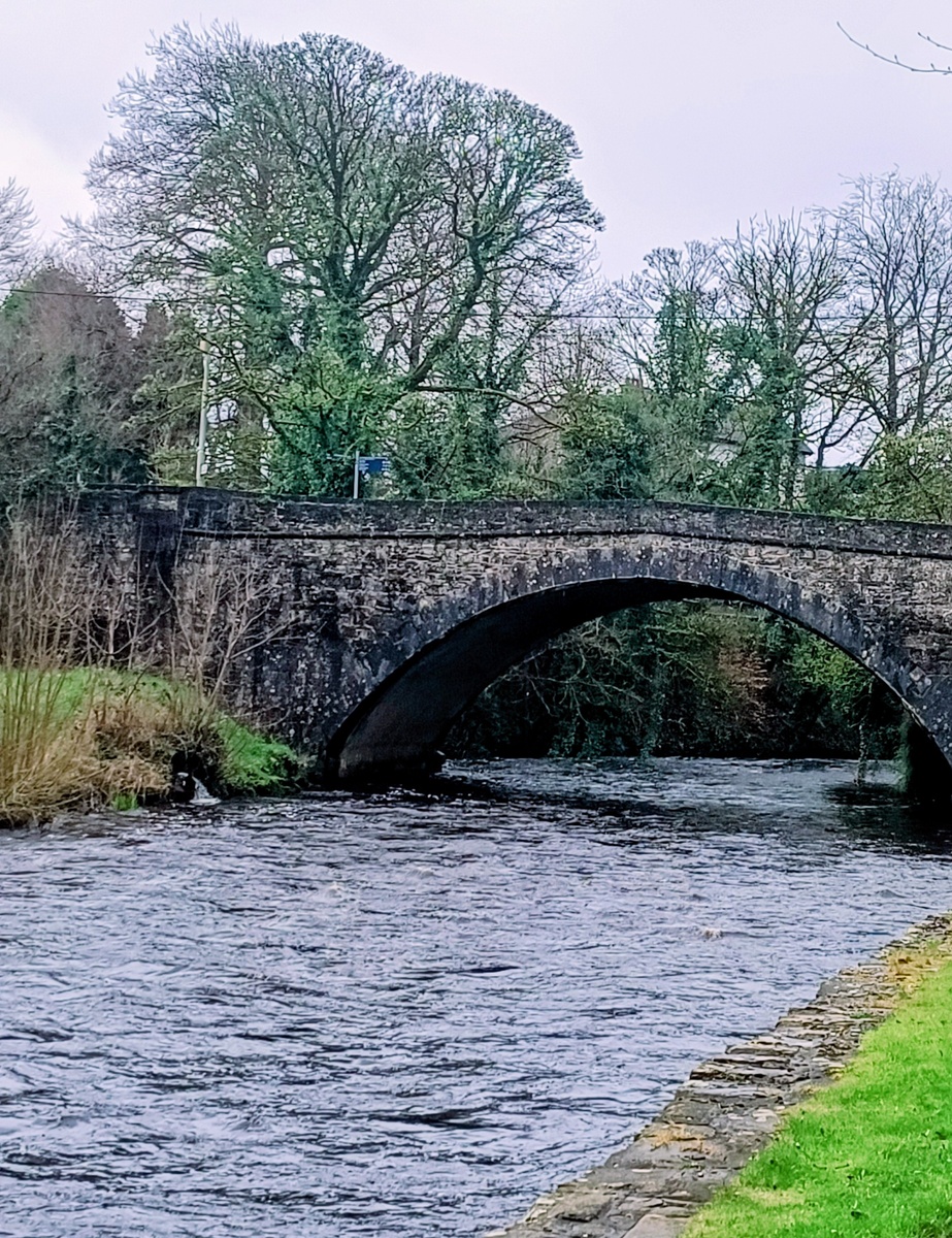  Старинный мост у монастыря Boyle. Графство Roscommon. Ирландия. Фото автора 
