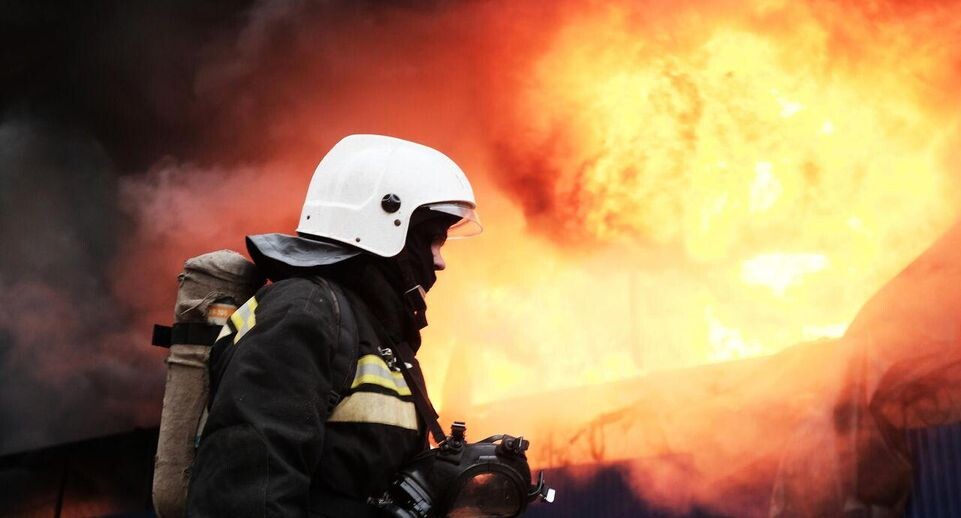    РИА «Новости»