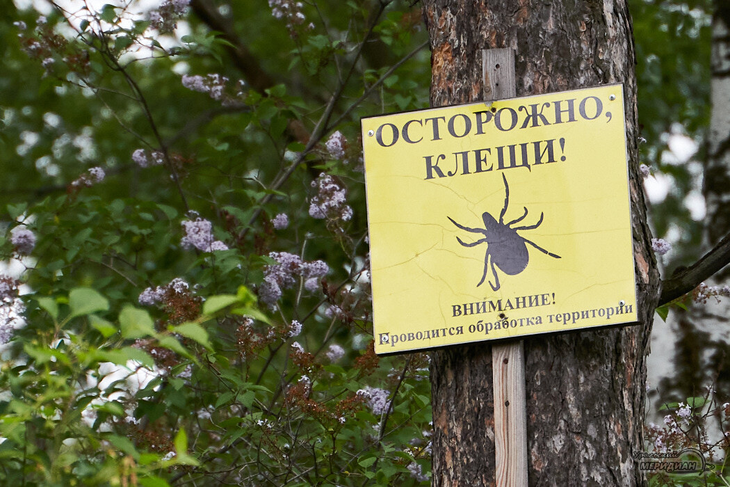    Фото Лидия Аникина © ИА «Уральский меридиан»