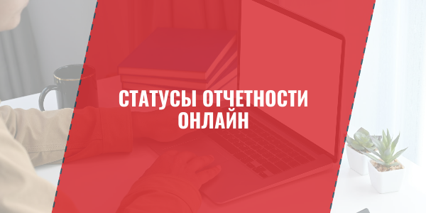 Статусы отчетности онлайн: что означает "Отклонено", "Требует уточнения", "Принято частично"