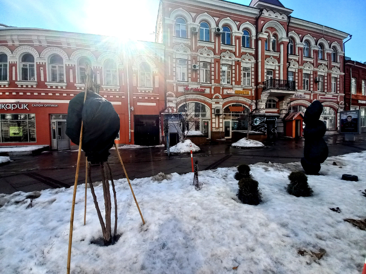 Фото автора 