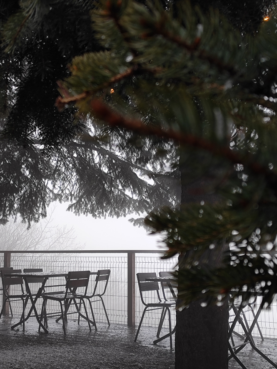 Мартовские туманы окутали Машук (март 2026 года)