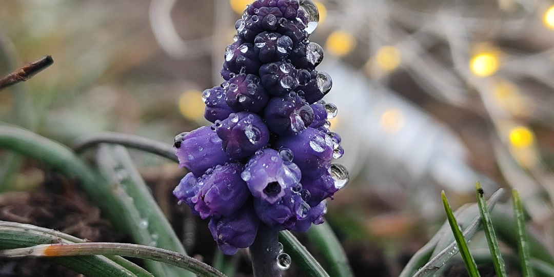 На гору Машук: мартовские туманы (газетная хроника 1911 года)